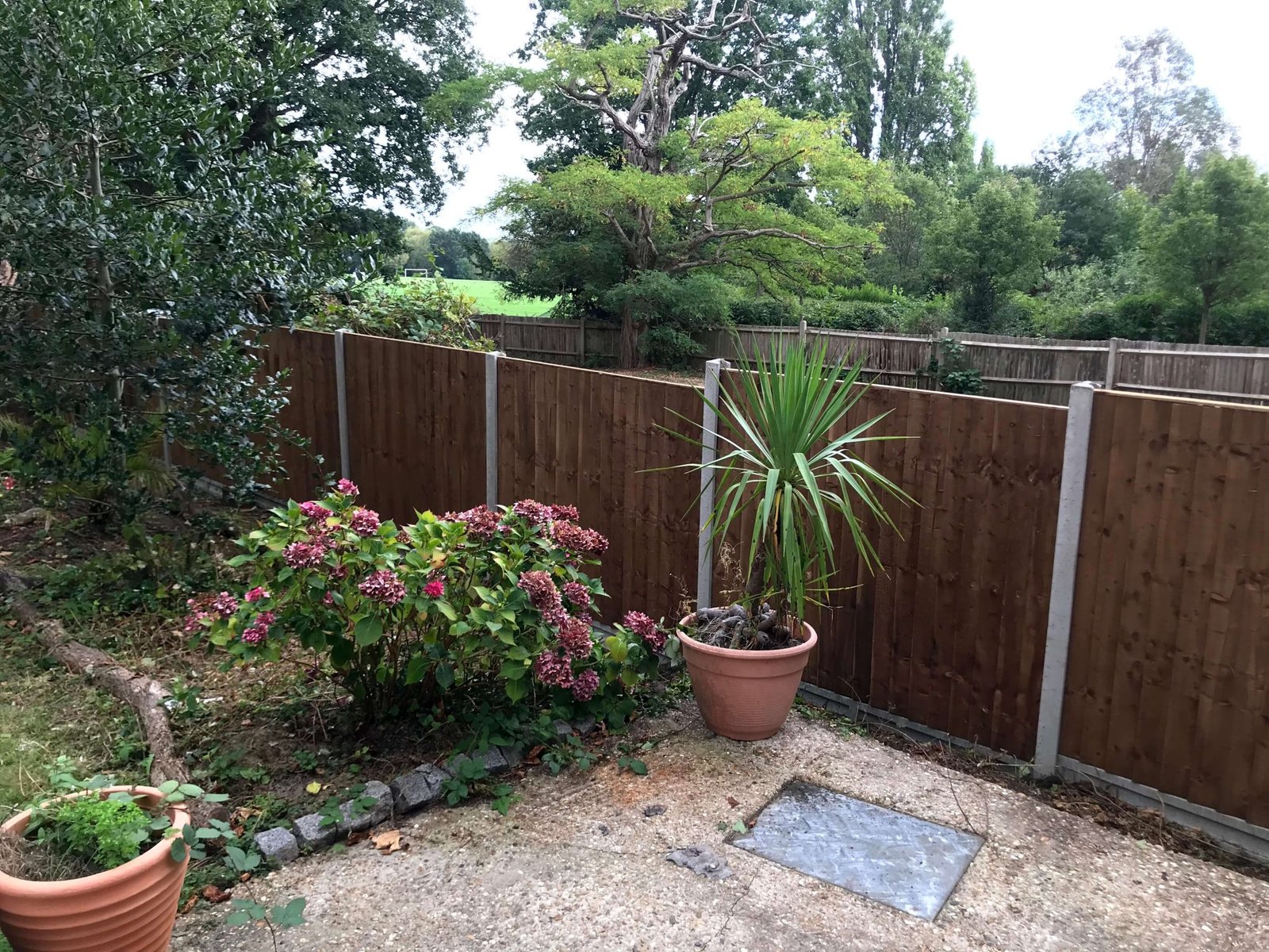 IMG_8533-1-2048x1536